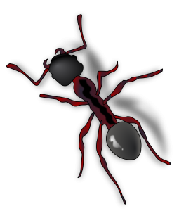 ant PNG-19366